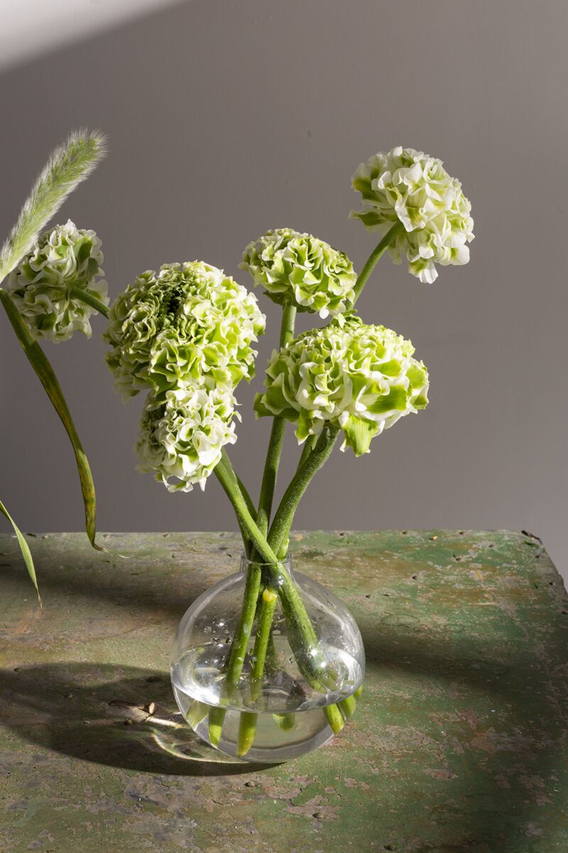 Chim Glass Bud Vases