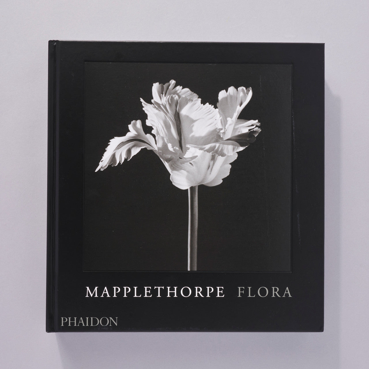 Mapplethorpe Flora