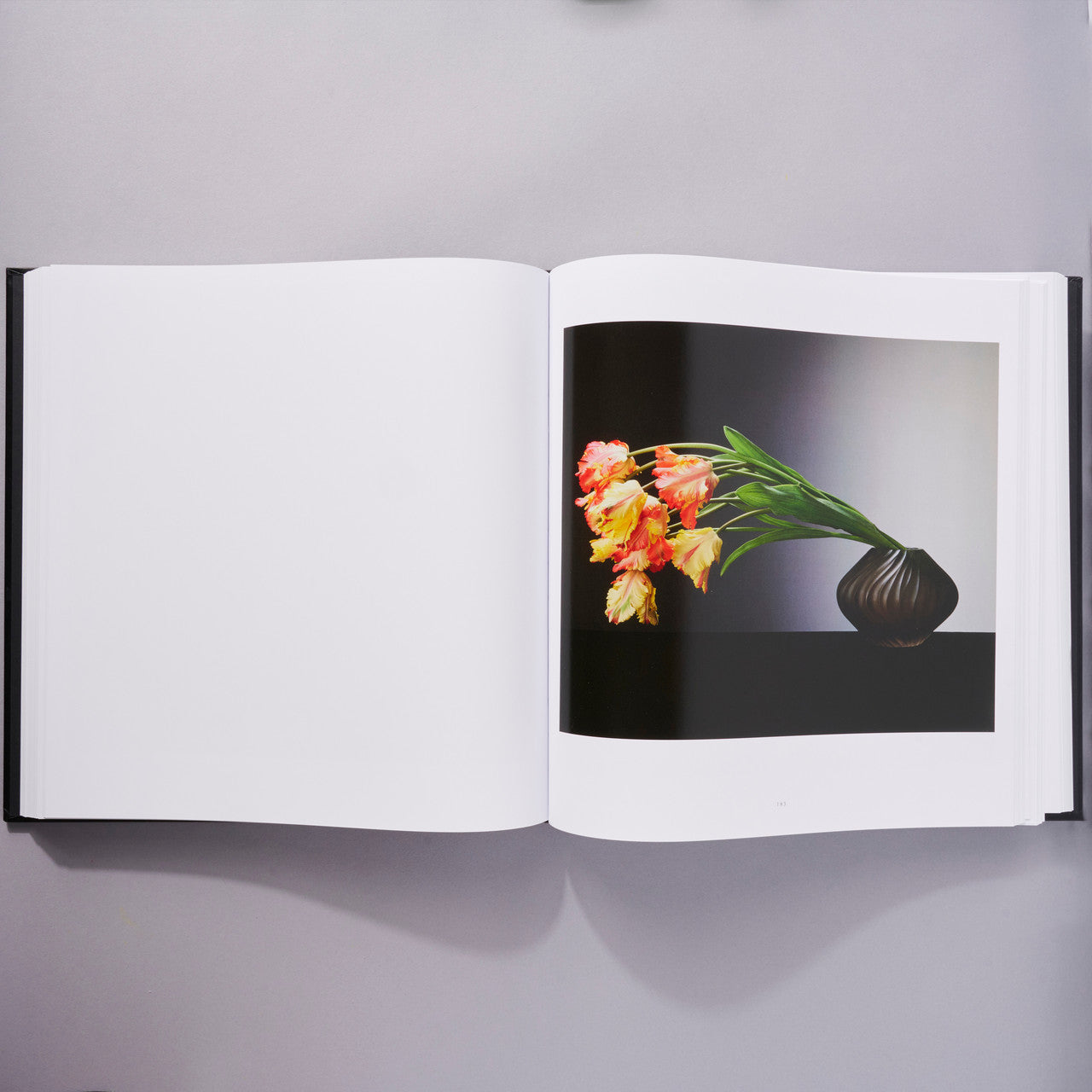 Mapplethorpe Flora