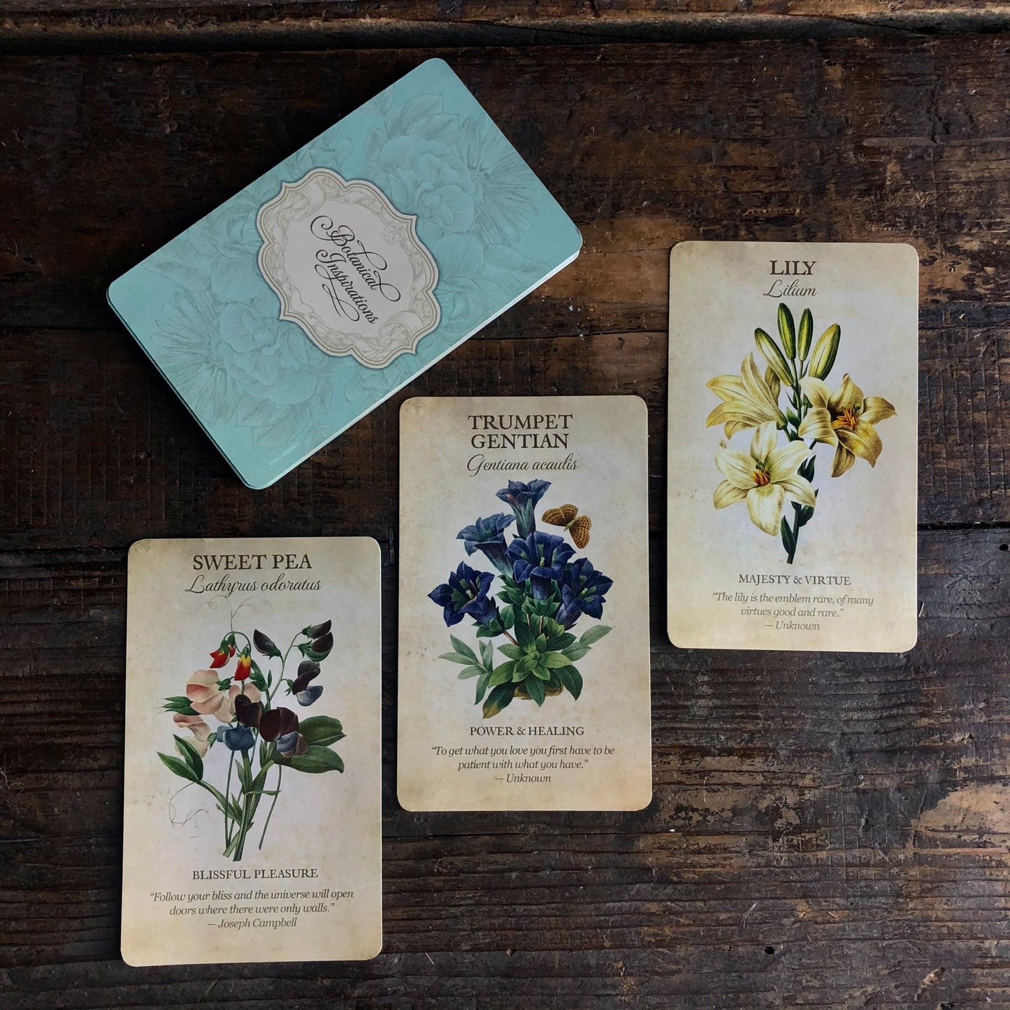 Botanical Inspirations Oracle Deck & Book Set