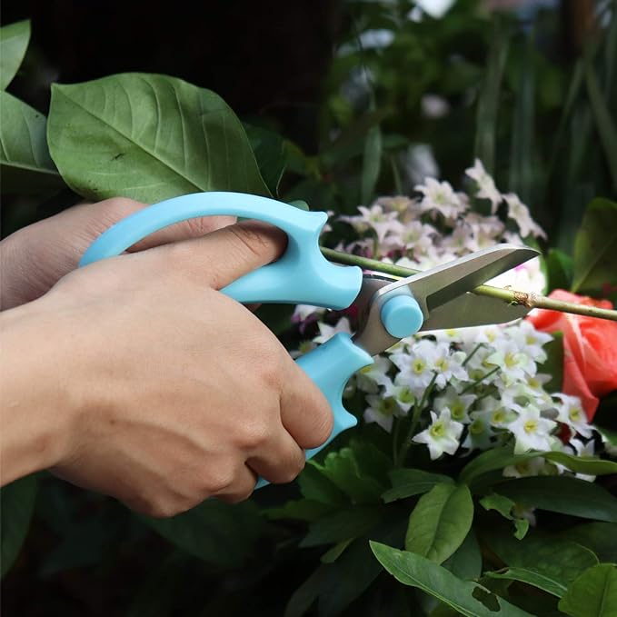 Shears