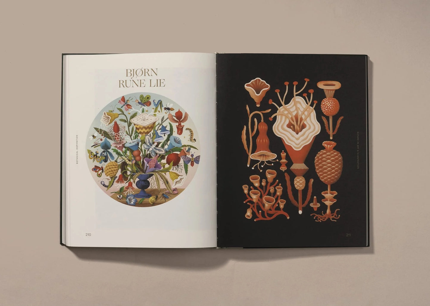 Botanical Inspiration: Nature in Art & Illustration