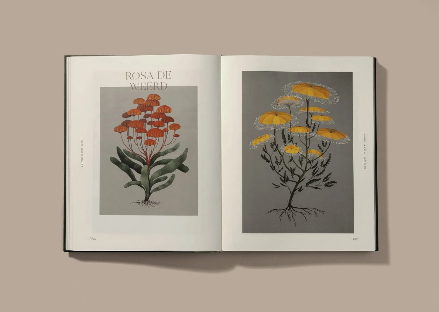 Botanical Inspiration: Nature in Art & Illustration