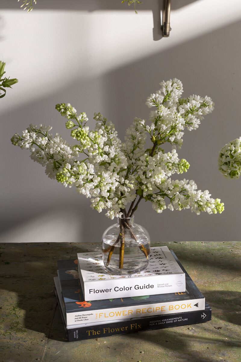 Chim Glass Bud Vases