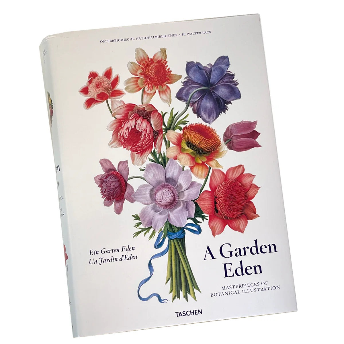 A Garden Eden