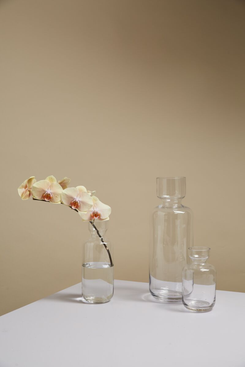Insight Glass Vases