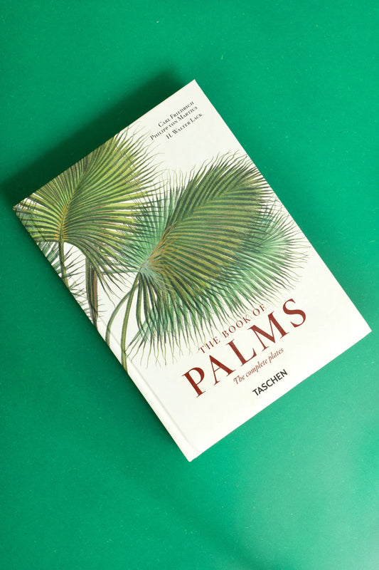 The Book of Palms