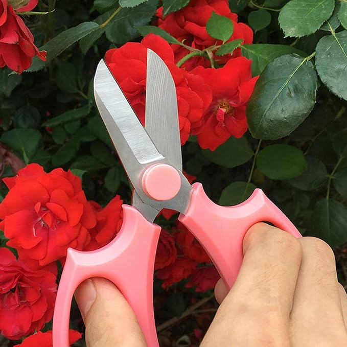 Shears