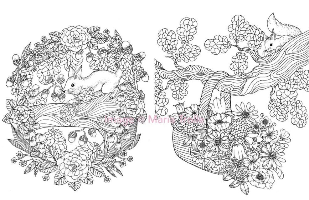 Twilight Garden Coloring Book