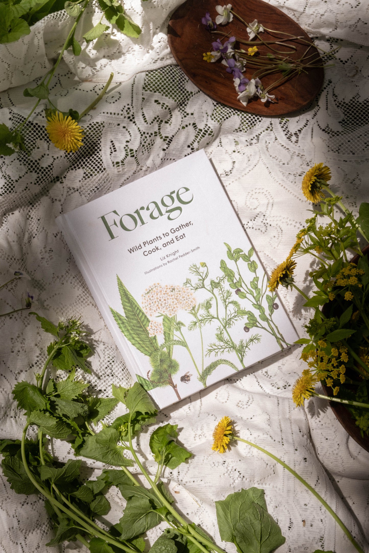 Forage: Wild Plants to Gather & Eat