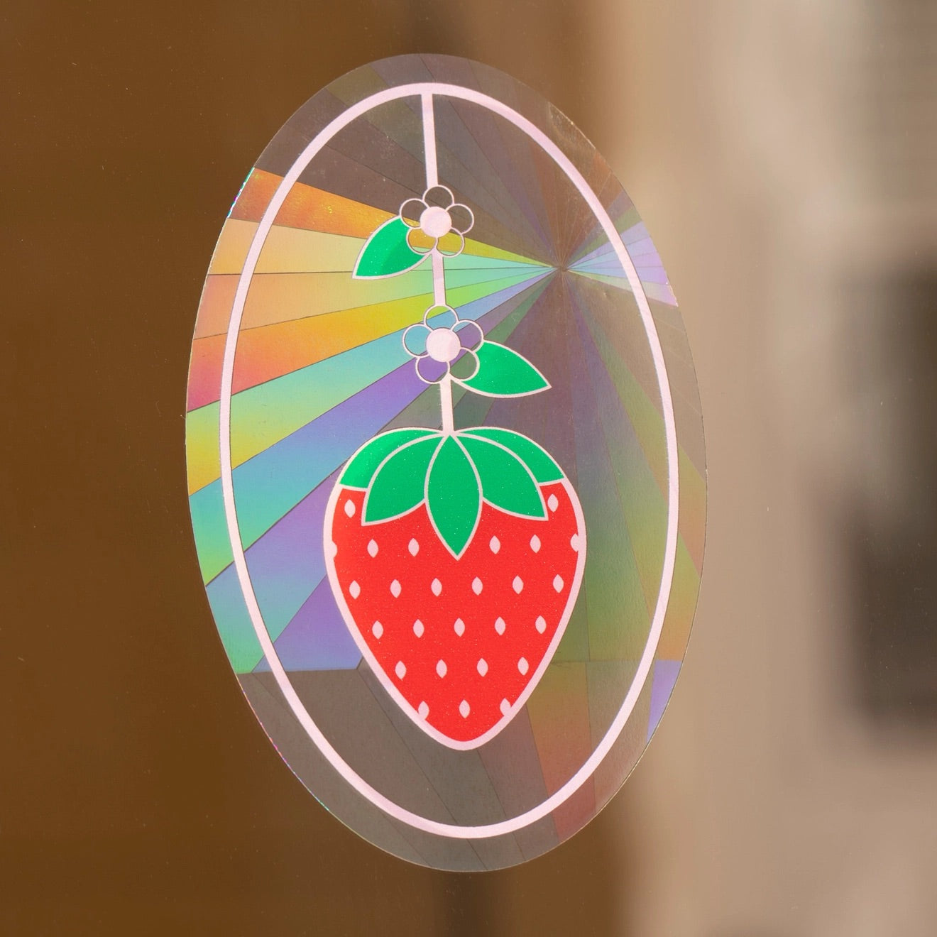 Window Sun Catcher