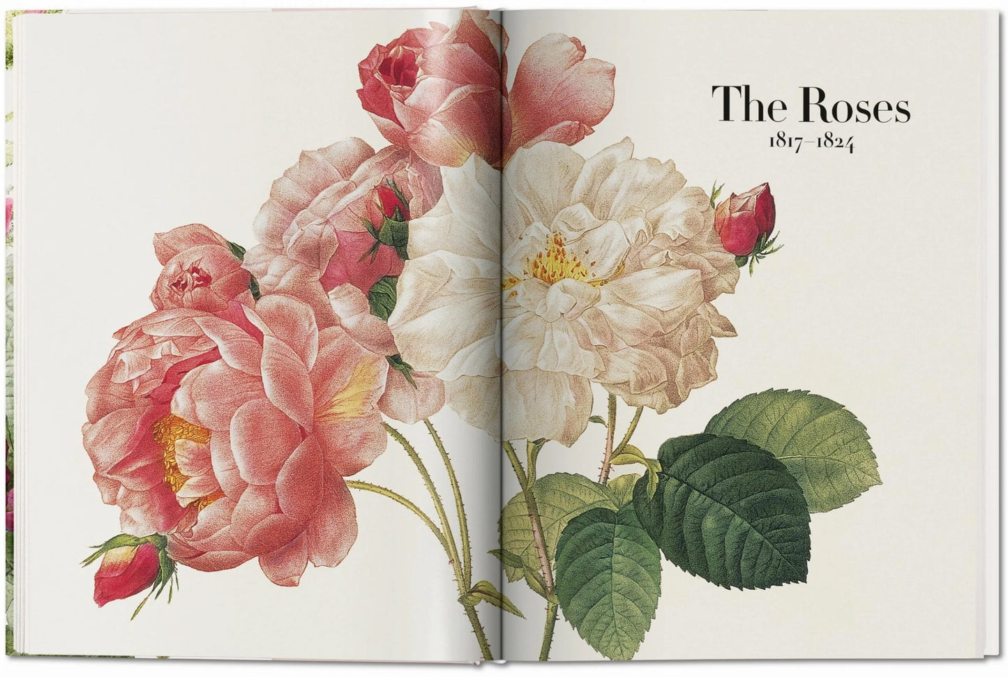 Book of Flowers