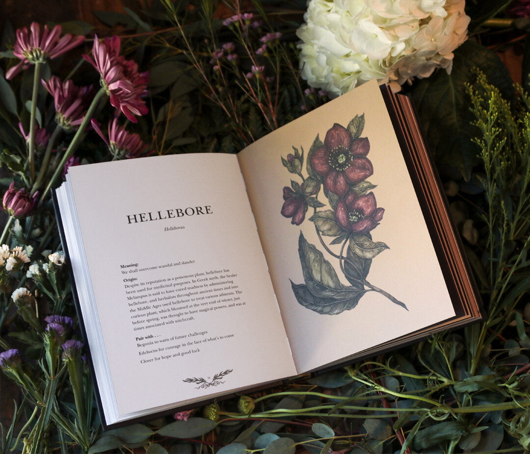 Floriography: An Illustrated Guide to the Victorian Language of Flowers