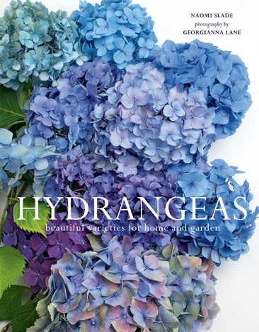 Hydrangeas: Beautiful Varieties For Home & Garden